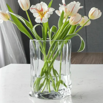 Contenitori per piante da fiore in vaso decorativo irregolare in vetro Ci22603