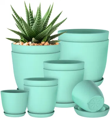 Vasi per piante Fioriere decorative per drenaggio interno Fioriere per piante grasse Cactus Vasi da fiori