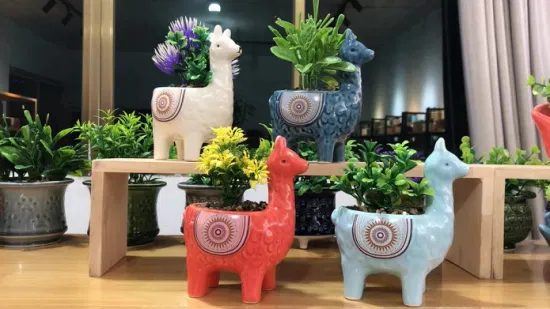Nuovo vaso in ceramica a forma di animale dal design con piante succulente